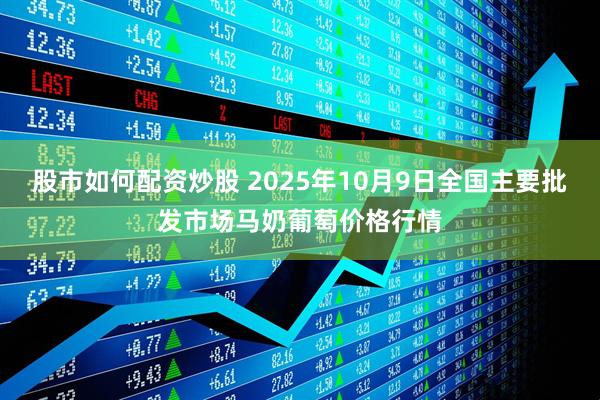 股市如何配资炒股 2025年10月9日全国主要批发市场马奶葡萄价格行情