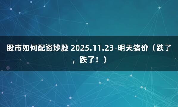 股市如何配资炒股 2025.11.23-明天猪价（跌了，跌了！）