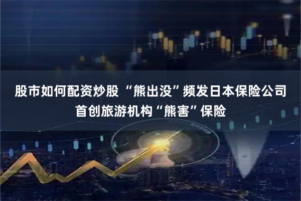 股市如何配资炒股 “熊出没”频发　日本保险公司首创旅游机构“熊害”保险