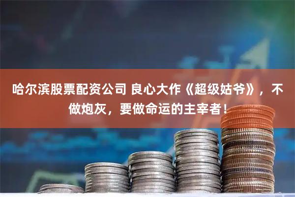 哈尔滨股票配资公司 良心大作《超级姑爷》，不做炮灰，要做命运的主宰者！