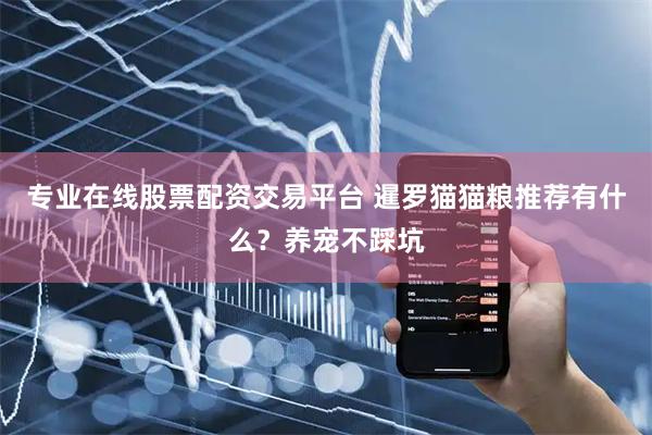 专业在线股票配资交易平台 暹罗猫猫粮推荐有什么？养宠不踩坑