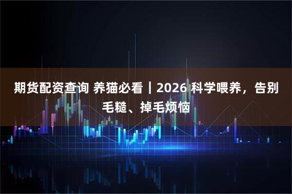 期货配资查询 养猫必看｜2026 科学喂养，告别毛糙、掉毛烦恼