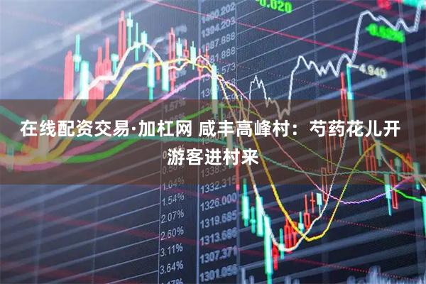 在线配资交易·加杠网 咸丰高峰村：芍药花儿开 游客进村来